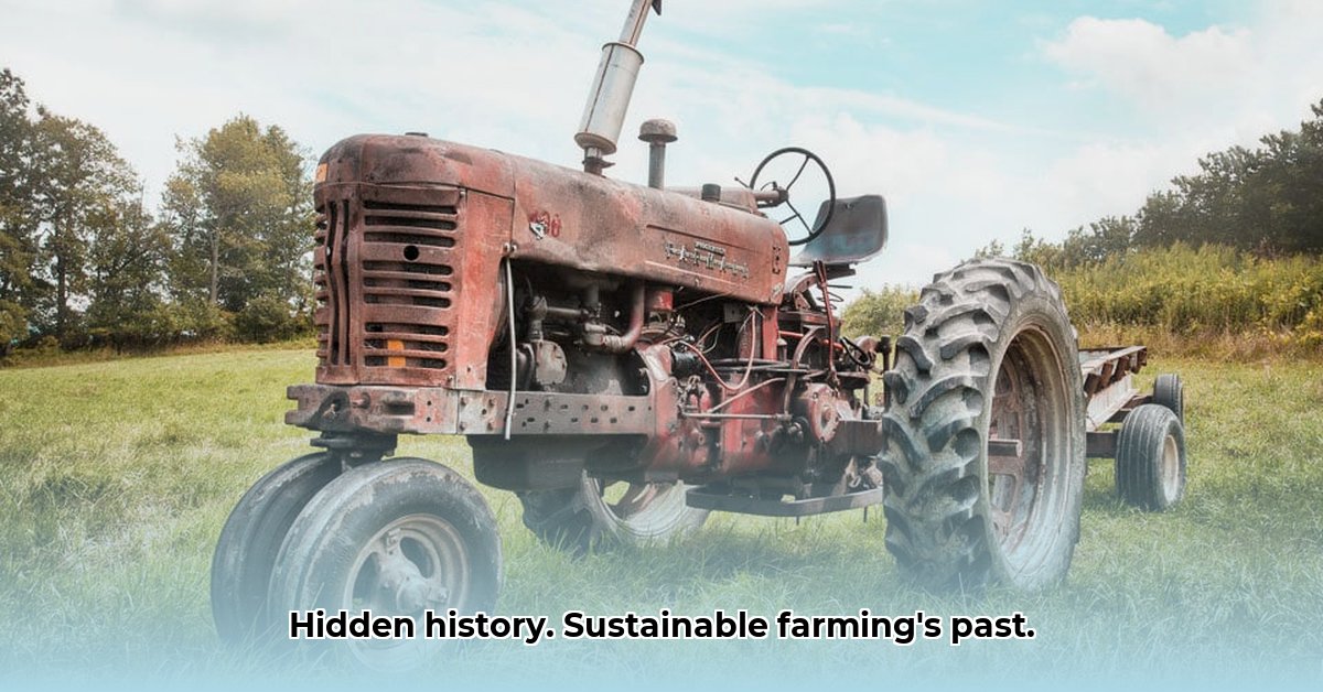old-tractor-pictures